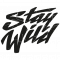 logoSWnoshadowNERO